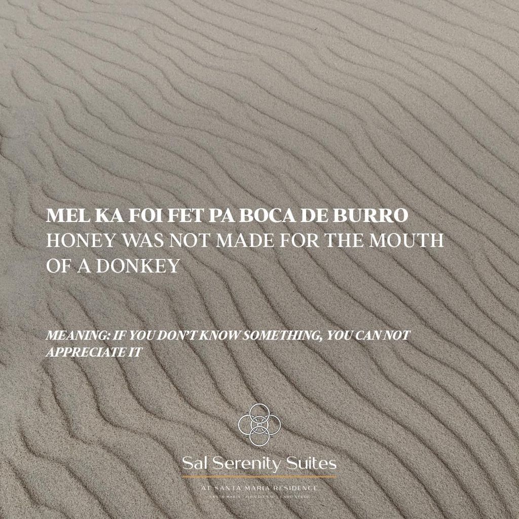 0c756540-7693-46c4-b51c-60d921d7839e.JPG#asset:726