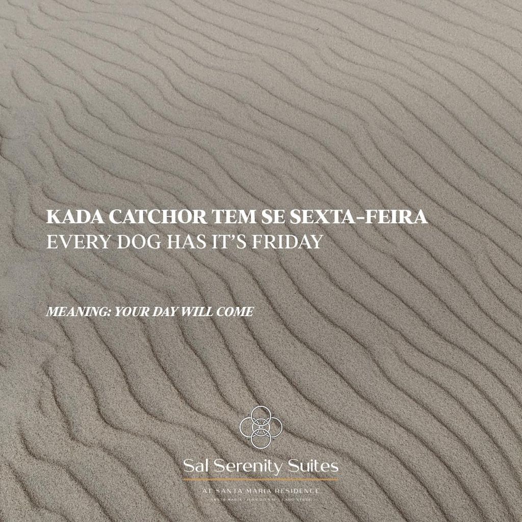 1bfe1089-0cb5-4788-8a03-e0366ba38d15.JPG#asset:727