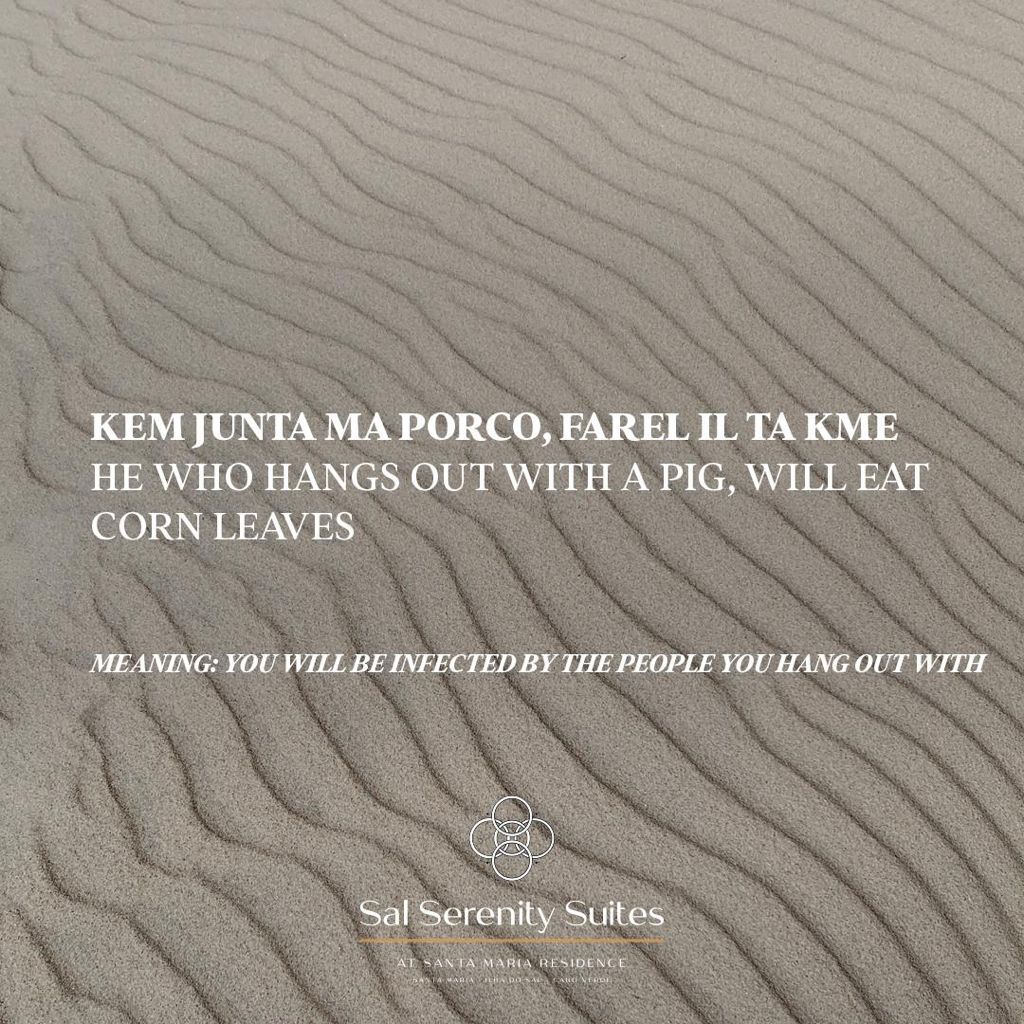 58864282-43bc-4c38-bcfe-fdbc1a15b3b7.JPG#asset:731