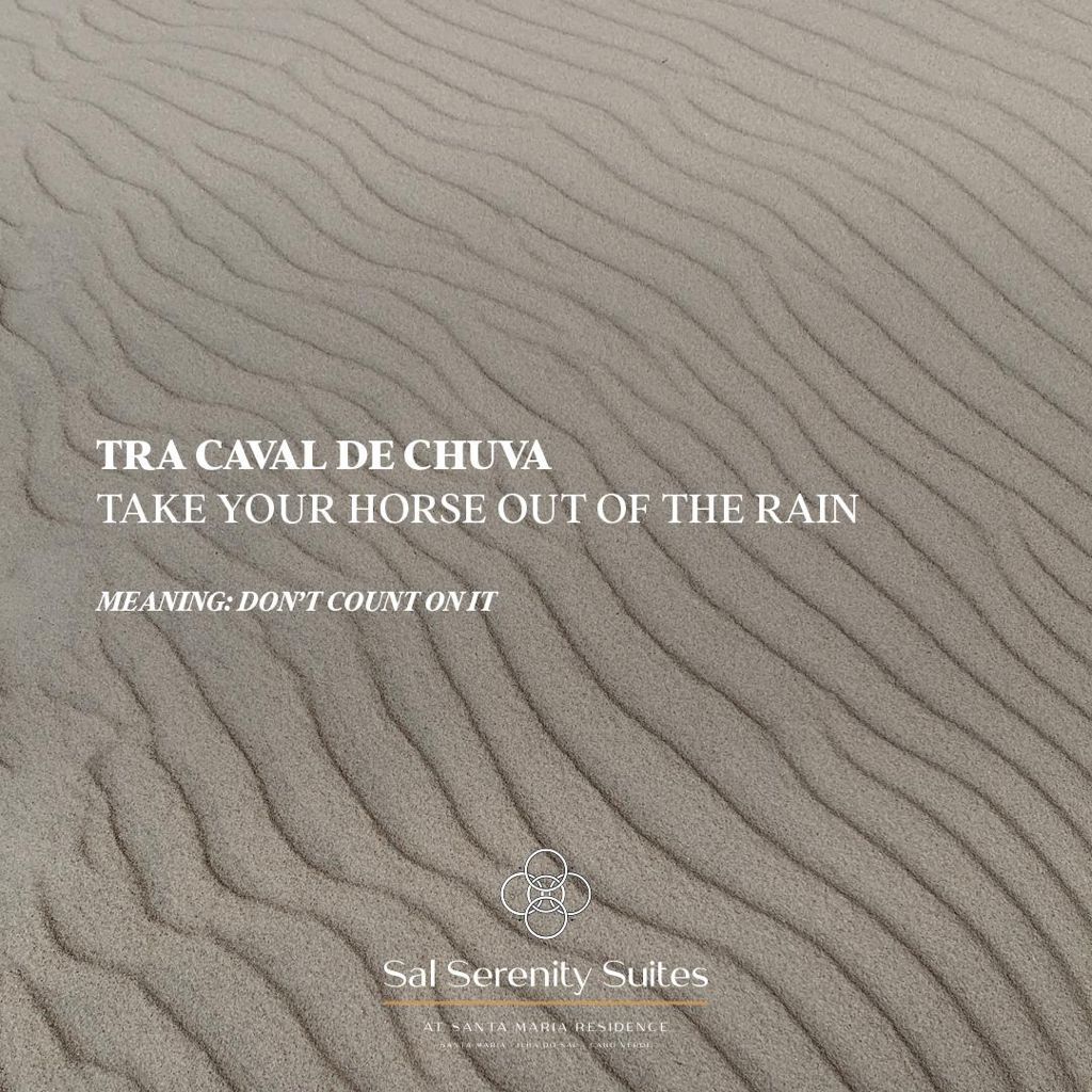 6e1de3f2-d4ca-420e-9dbf-ccb9124a2ac7.JPG#asset:728