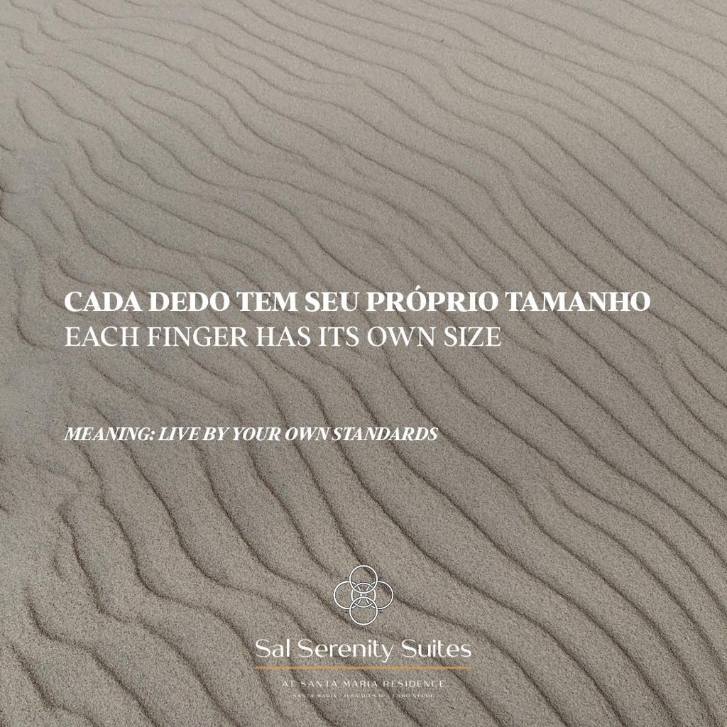 95ef5286-672b-4075-96ec-08b293b6edf0.JPG#asset:729