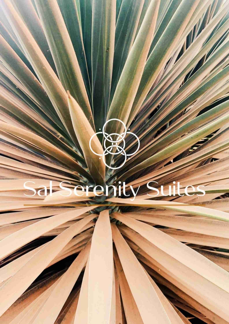 Holidays in Ilha do Sal – Holidays in Santa Maria – Holidays in Cape Verde - Férias na Ilha do Sal – Férias em Santa Maria – Férias em Cabo Verde, Vakantie in Ilha do Sal – Vakantie in Santa Maria – Vakantie in Kaapverdië