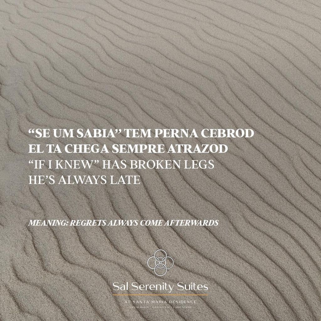 a318b0be-771f-4ef5-90b9-58f2a3d53580.JPG#asset:732