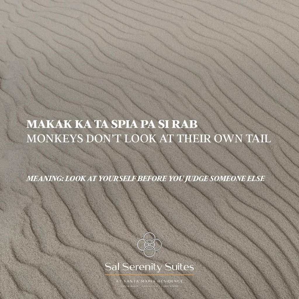 e3c6cb88-b694-4236-b72f-d64104d916f7.JPG#asset:734