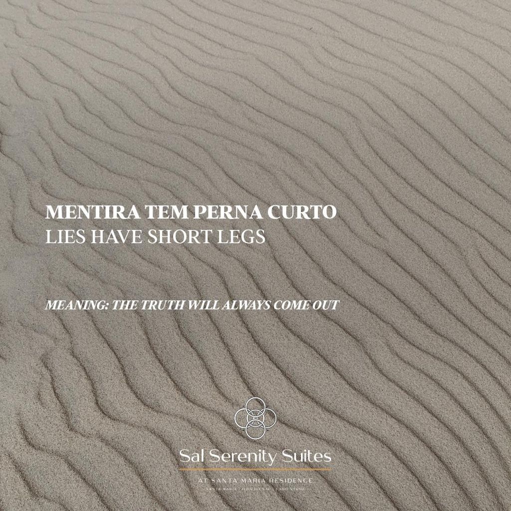 fc611d7d-5dae-4f74-8ec3-67938a999150.JPG#asset:725